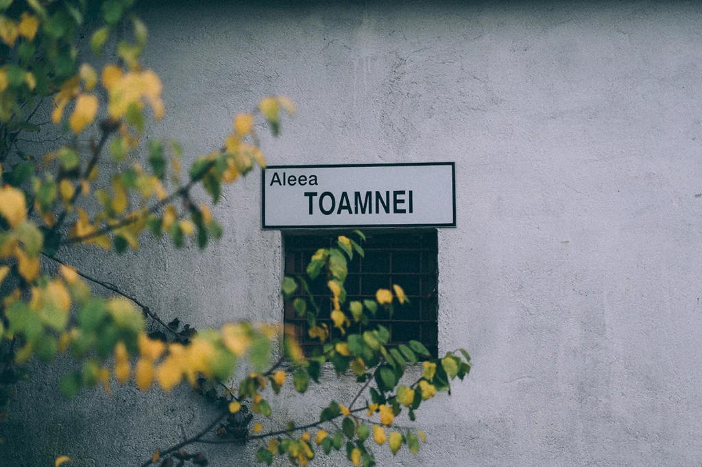 Clădire gri din beton cu un geam întunecat cu gratii deasupra căruia e un semn ca de stradă pe care scrie Aleea Toamnei. În contrast cu acel gri și negru sunt frunzele de toamnă colorate ale unor copaci de foioase. Verdele și galbenul frunzelor se află doar în jumătatea stângă ale pozei.