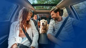 3-riscuri-pentru-care-merita-sa-ai-un-plan-asigura-te-inteligent-allianz-tiriac-pozitivesti.webp