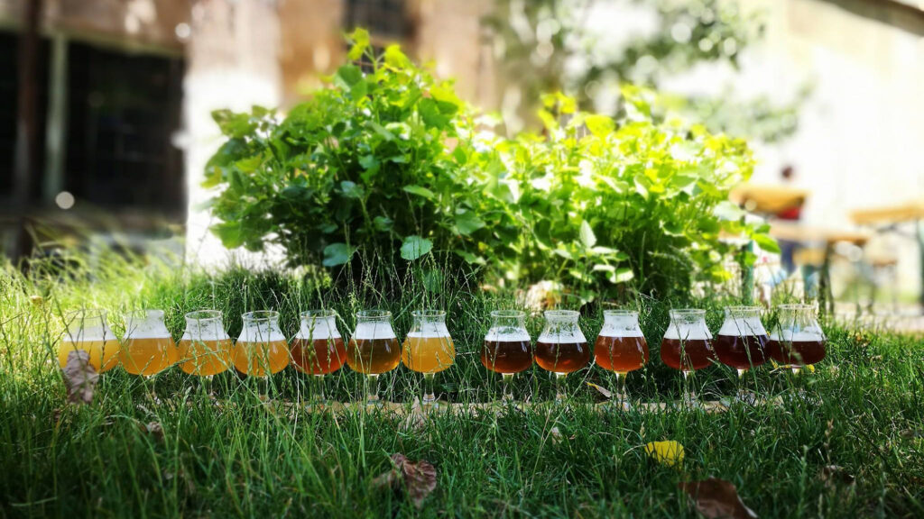 ground-zero-pozitivest