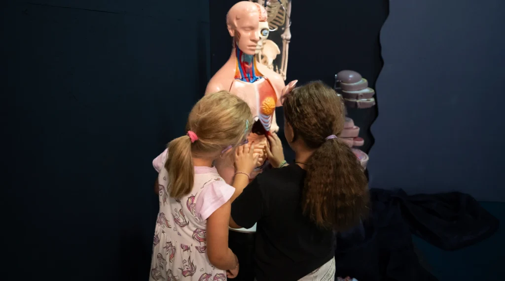 Muzeul le permite copiilor să exploreze organele corpului uman și lumea microscopică.