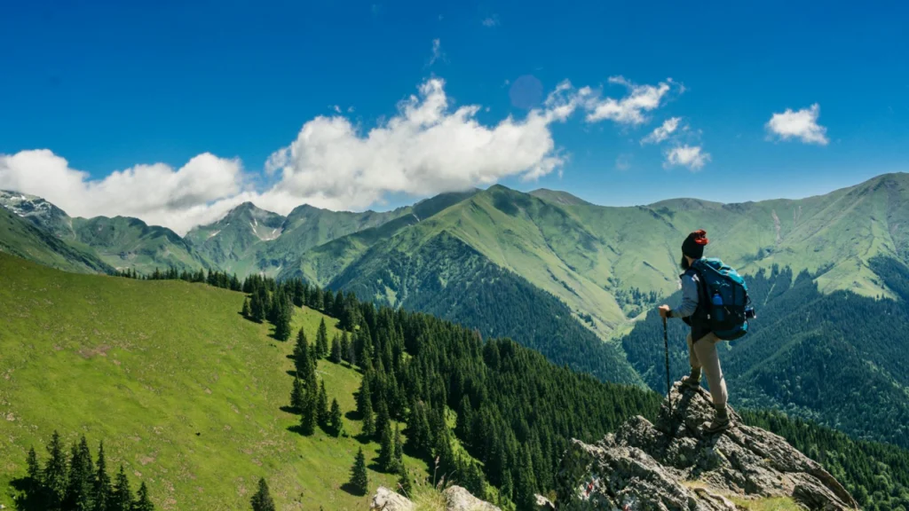 România ar putea avea un Yellowstone de România