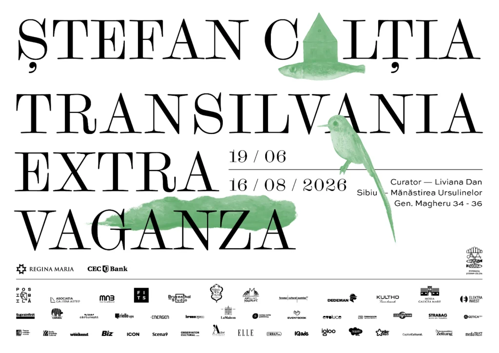 expozitie Stefan Câlția